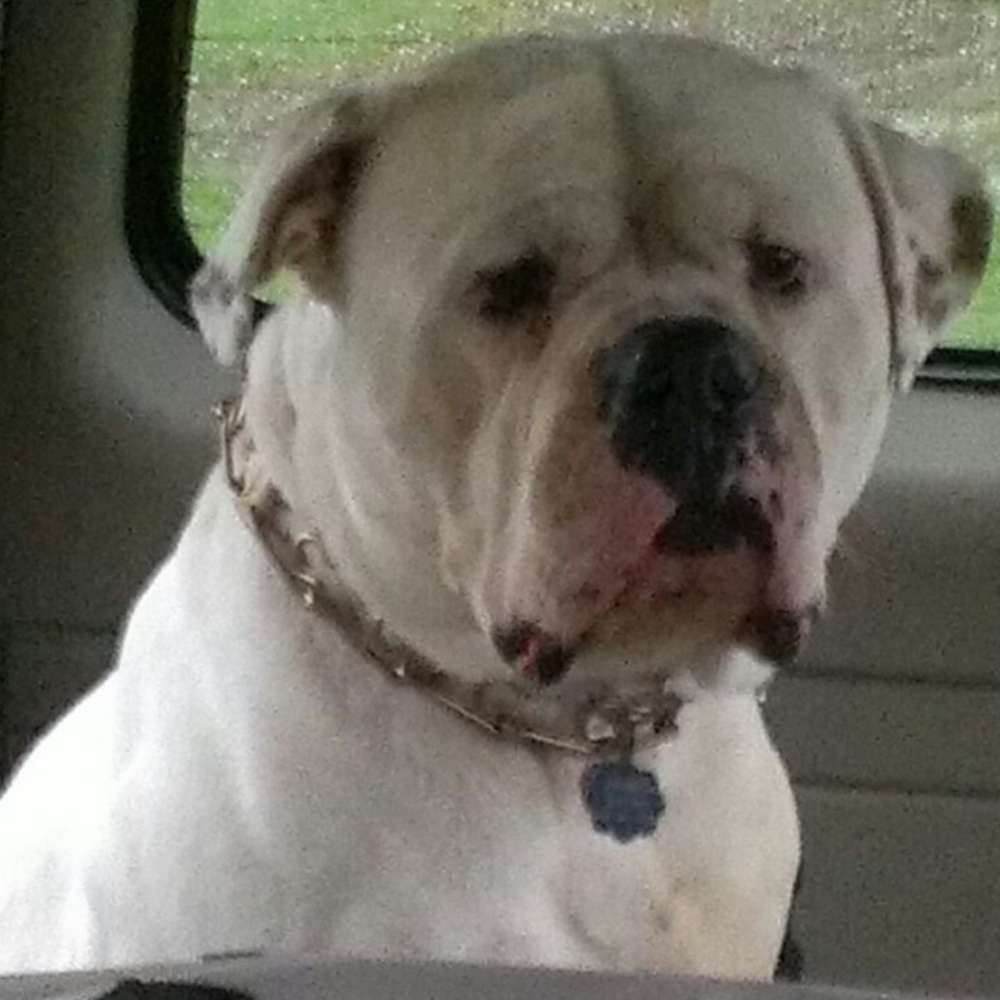 Meet your Posher, Janelle